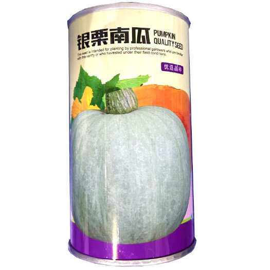 寿光市白银栗南瓜种子 甘栗南瓜 甜面软糯板栗南瓜春秋播种甜度高