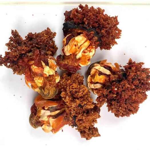 昆明海参花海参花海参花海参花海参花批发