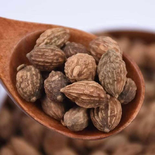 昆明益智仁益智仁益智仁益智仁益智仁益智仁批发