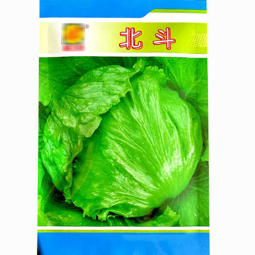 寿光市结球生菜种子北斗中早熟包心生菜种籽高产球形生菜庭院四季