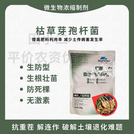 淄博✓200亿含量✓枯草芽孢杆菌粉剂 抗重茬防死棵烂根微生物菌剂