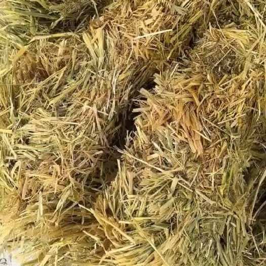 同德县青海同德有大量燕麦草捆