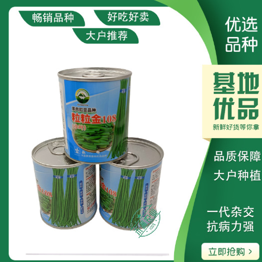 武汉豆角种子