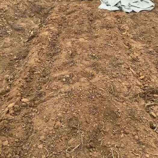 泌阳县薄荷脑