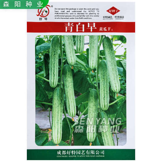 常德好特青白早黄瓜种子早熟无苦味燕白黄瓜春秋季极早美蔬研白绿09