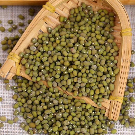 临沂毛绿豆新货大小颗粒绿豆