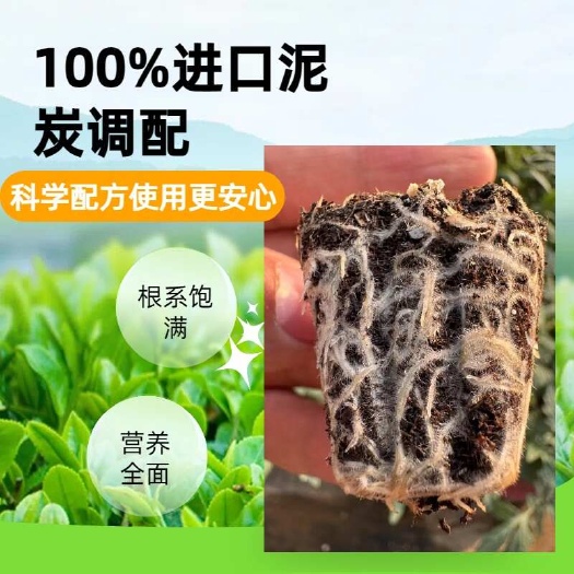 青州市中草育苗基质，蔬菜育苗基质，花卉育苗基质，栽培基质