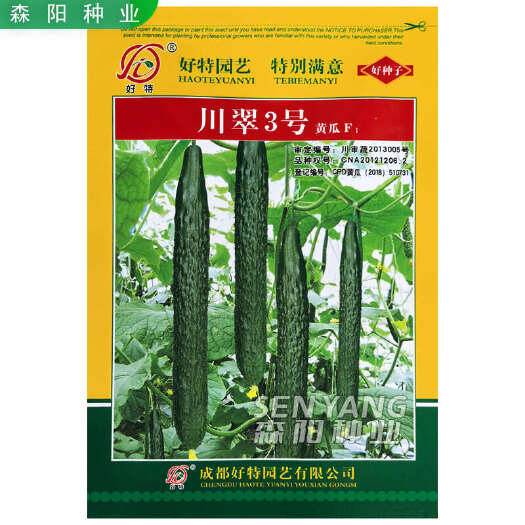 常德好特川翠3号黄瓜种子早熟强雌刺黄瓜春夏秋季耐特青瓜强大黑亮A