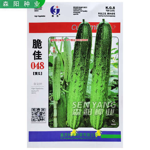 常德科光脆佳048黄瓜种子早熟耐热燕白黄瓜精品极早美本地杂交黄瓜