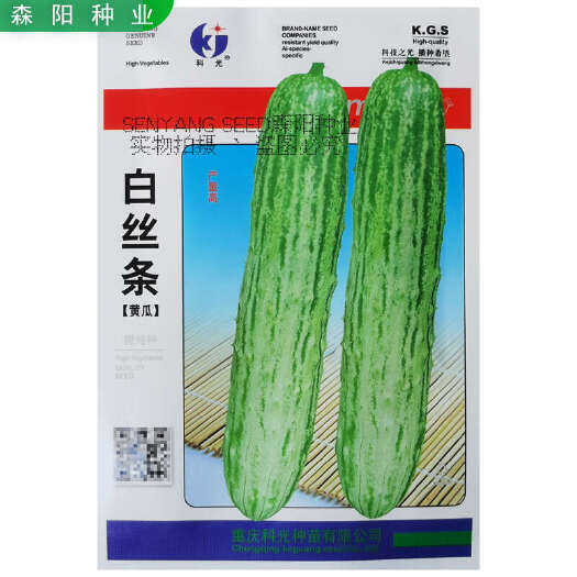 常德科光白丝条黄瓜种子早熟高产燕白038短棒脆嫩水果黄瓜籽鄂黄三