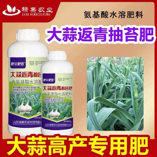 寿光市肥公肥婆大蒜返青抽苔肥出苔齐早熟胖头专用增产水溶原液叶面肥
