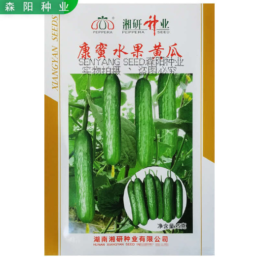 湘研康蜜水果黄瓜种子早熟脆嫩香甜鲜食小黄瓜春秋嫩黄瓜卡其水果