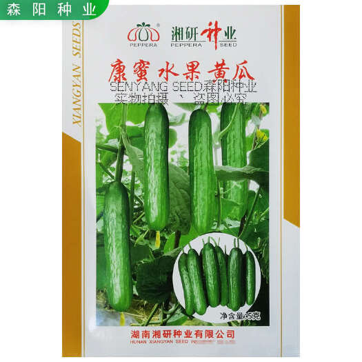 常德湘研康蜜水果黄瓜种子早熟脆嫩香甜鲜食小黄瓜春秋嫩黄瓜卡其水果