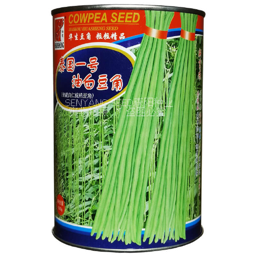 常德泰国一号油白豆角豇豆种子耐热江豆小五叶长豆角华生四季豆种
