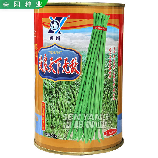 常德御翔改良天下无敌豇豆种子早中熟抗病耐老化春秋季基地长豆角菜豆