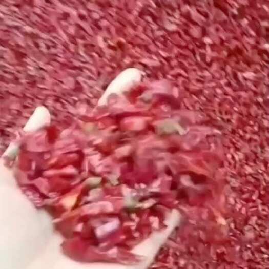 邳州市干辣椒段巨辣香辣魔鬼辣椒段去籽商用特辣微辣饭店餐饮朝天椒批发