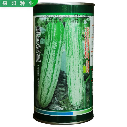 科光燕白黄瓜种子极早熟耐寒高产新燕095本地杂交黄瓜精品极早