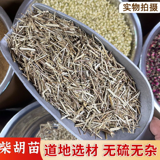 【永康元药业】中药材柴胡苗硬苗柴胡 叶柴胡苗 香柴胡苗