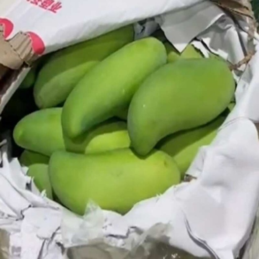 海口海南新鲜酸脆象牙青芒海口直发批发/一件代发