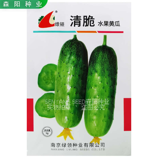 绿领清脆水果黄瓜种子早熟短棒春秋口口脆春夏秋美津鑫88奶油黄