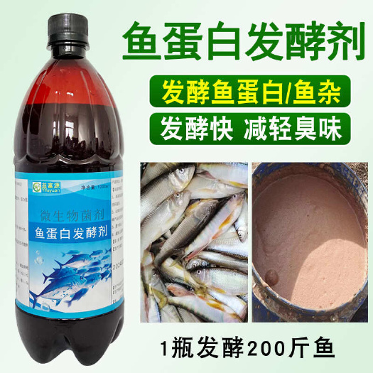 郑州鱼蛋白发酵剂鱼杂鱼肠发酵菌液体好氧厌氧农用水肥发酵剂生物菌肥