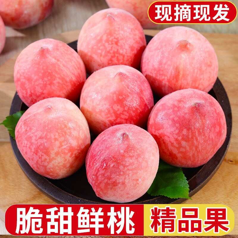 雨林果香旗艦店