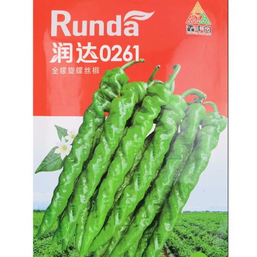 建瓯市润达0261全螺旋螺丝椒种子 螺旋美观 口味香辣口感软糯