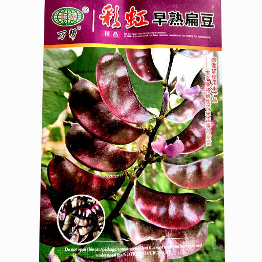 寿光市红眉豆种子早熟红扁豆 结荚多花紫红色大田基地品种
