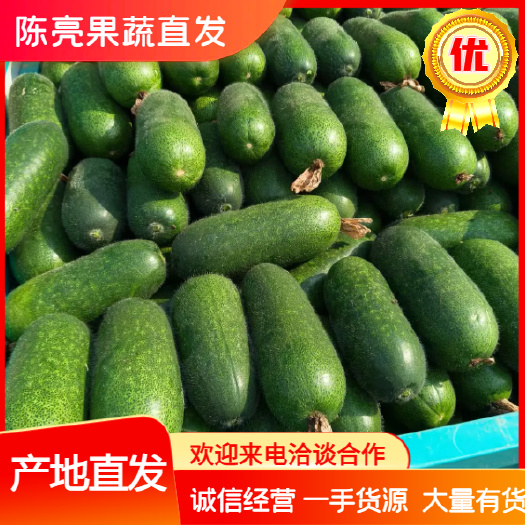 小冬瓜 绿皮冬瓜 青冬瓜 产地代办 一手货源