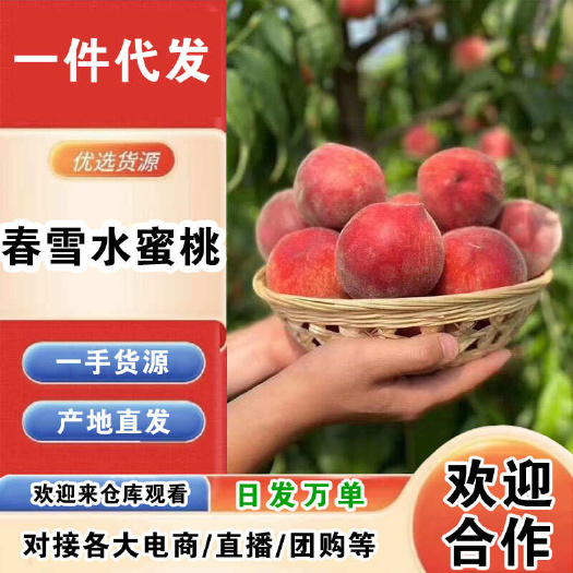 乐亭县河北春雪水蜜桃一件代发产地直发一手货源对接各大电商平台