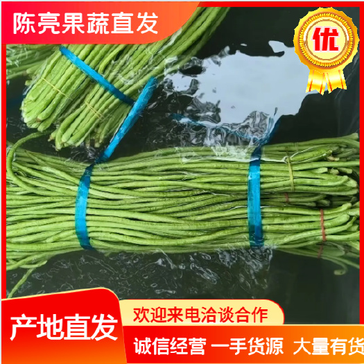 博爱县精品长豆角，大量供应中，价格便宜，代发全国。