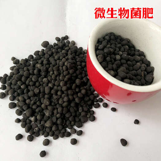 正定县颗粒有机肥微生物菌肥2亿活菌数