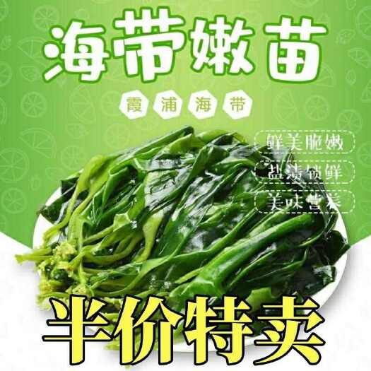 霞浦县霞浦海带海带嫩苗天然海洋蔬菜