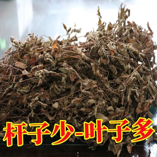 武平县福建仙草干仙草粿草仙人板仙水冻神仙草凉粉草