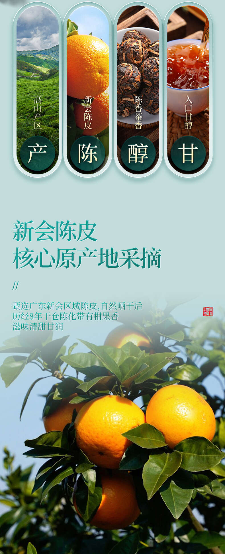 新会陈皮普洱茶宫廷熟茶云南勐海古树龙珠柑普小沱茶小粒装茶叶