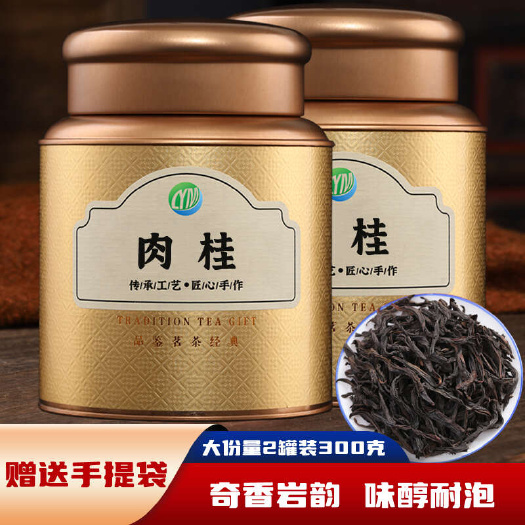 安溪县武夷岩茶正岩肉桂茶果香浓香型正宗大红袍新茶乌龙茶叶300克