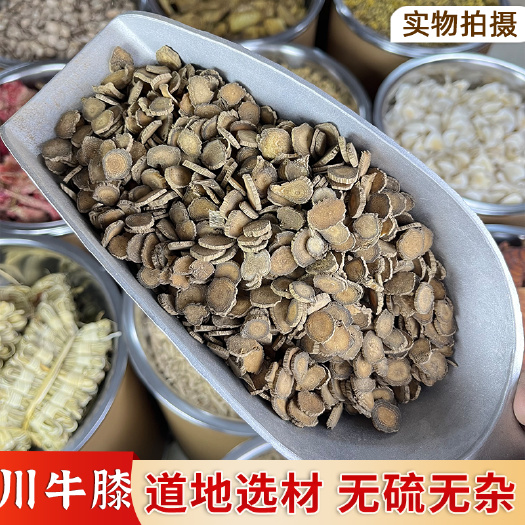 普宁市【永康元药业】川牛膝中药材四川川牛夕拐甜牛膝