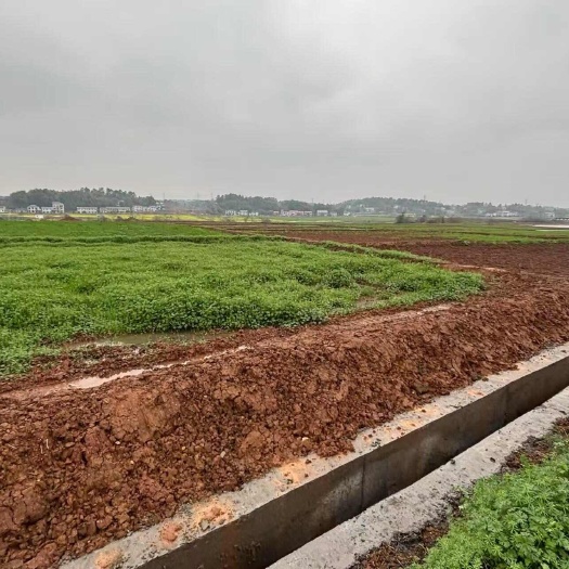 衡阳600亩高标准水稻田248/亩水电路三通
