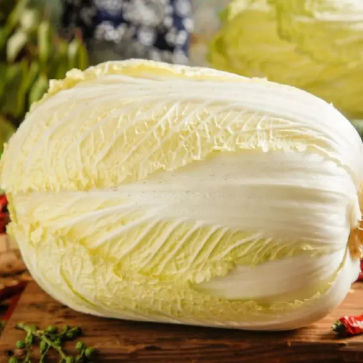 长沙黄大白菜整车发货江苏东台专线物流新鲜蔬菜叶菜类