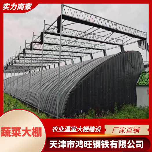 农业温室大棚建设 种植大棚  蔬菜大棚 厂家直销 热镀锌钢管
