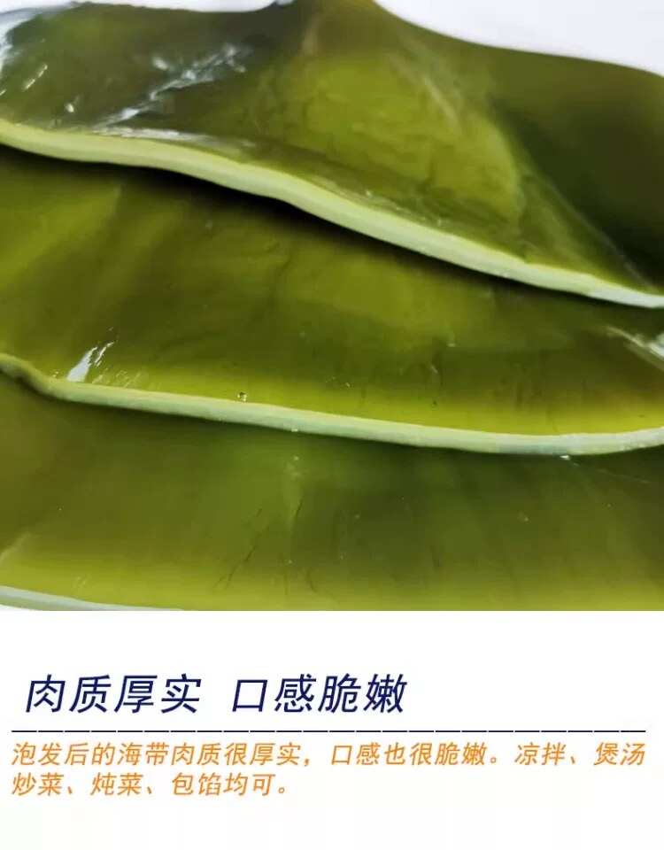 山东盐渍海带头 干净无沙 长度3-8公分  餐饮商用食材