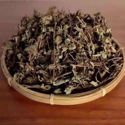 高胶仙草纯叶子批发【潮汕草粿草】【广西凉粉草】