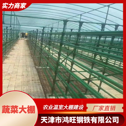 蔬菜大棚 大棚骨架 果蔬大棚 厂家直销 规格型号齐全