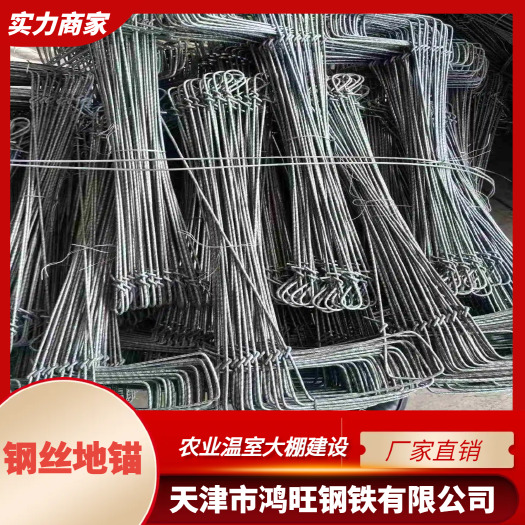 天津钢丝地锚 温室大棚专用地锚 加粗加长地锚  厂家直销