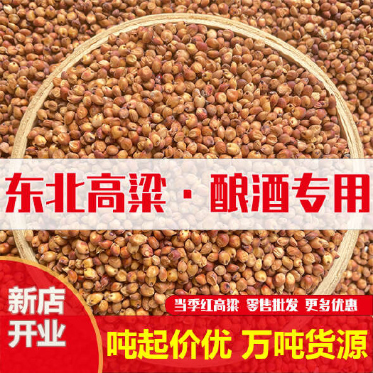 东北大颗粒酿酒专用红高粱 袋装净粮50kg