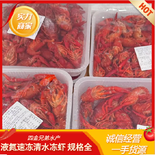 潜江市柳伍液氮456钱中虾  液氮小龙虾