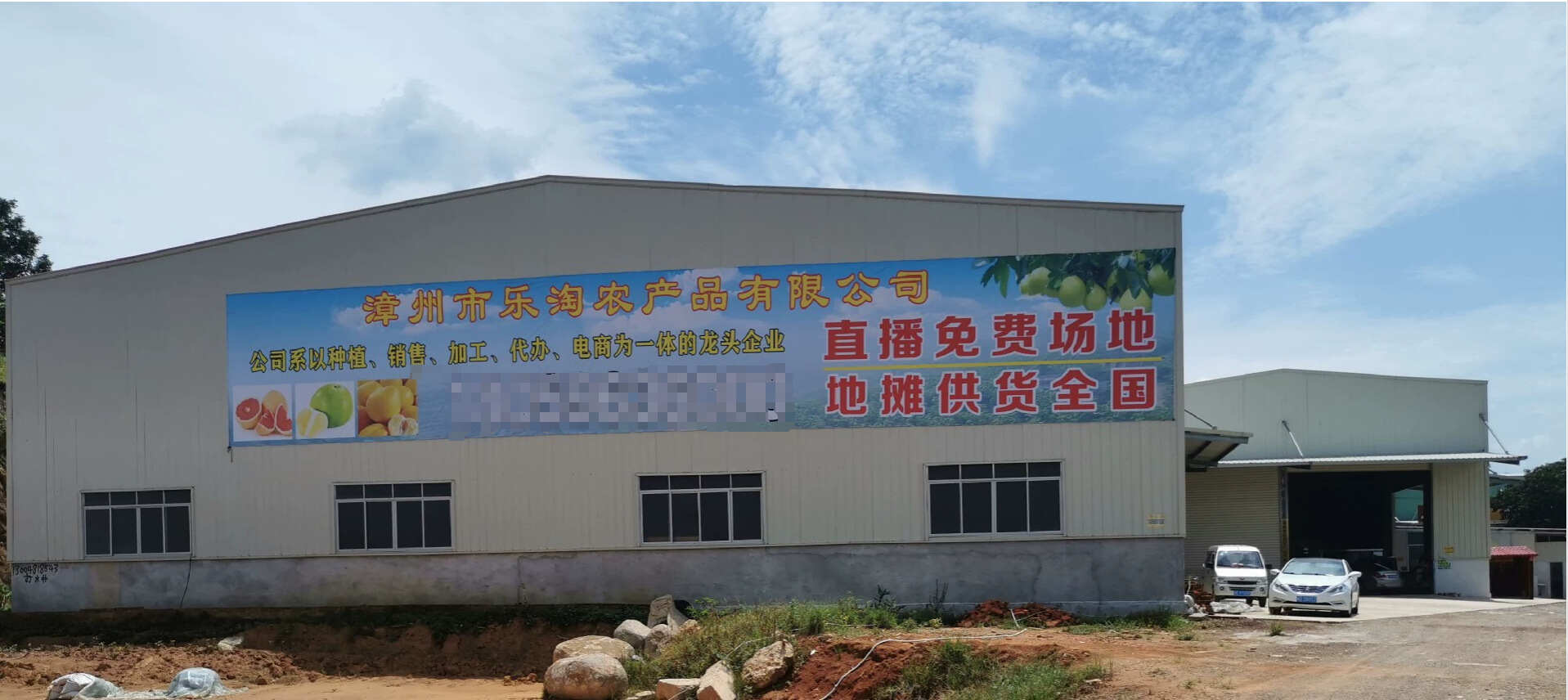 山东脆甜奶油糖心丑黄元帅维纳斯黄金苹果