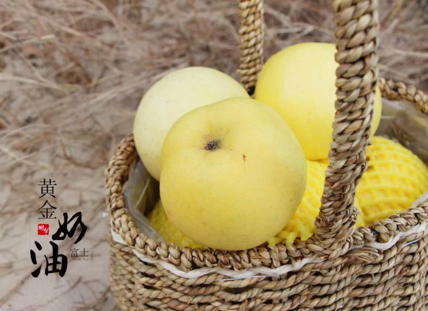 山东烟台黄金奶油富士苹果栖霞水果新鲜当季苹果代发