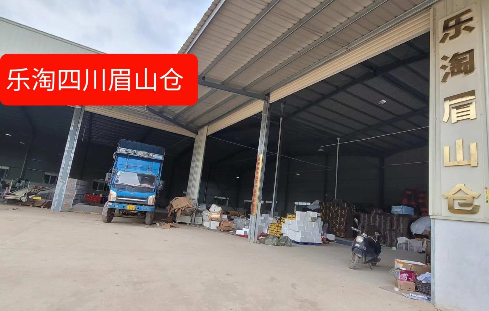 山东脆甜奶油糖心丑黄元帅维纳斯黄金苹果