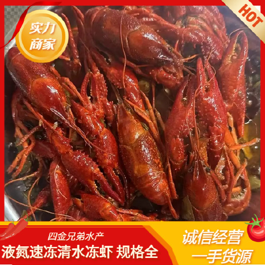 潜江市桐梓湖液氮清水6-8钱大虾 鲜活整只冻虾 新鲜肥美
